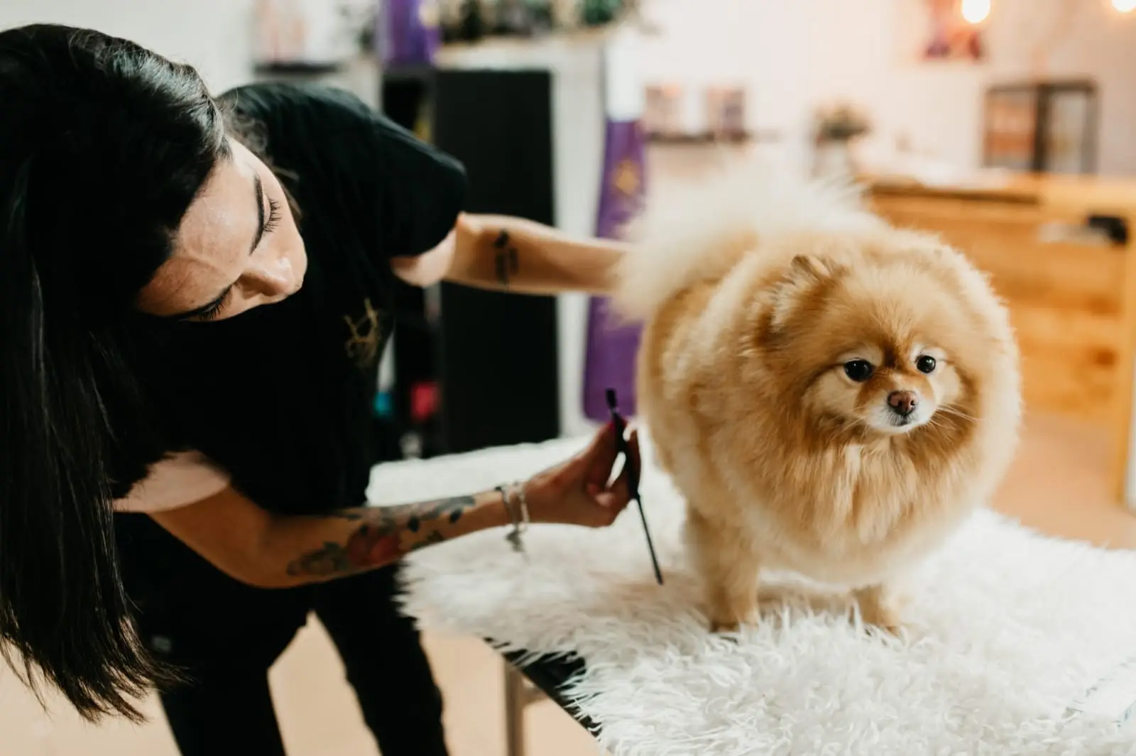 02f5bb63-1f86-48ee-91bd-c9f6b6519f20