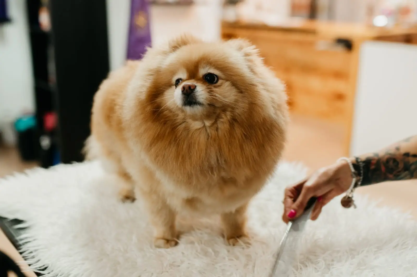 6bf081a2-8279-4b82-9eb3-3bbe0dad882f