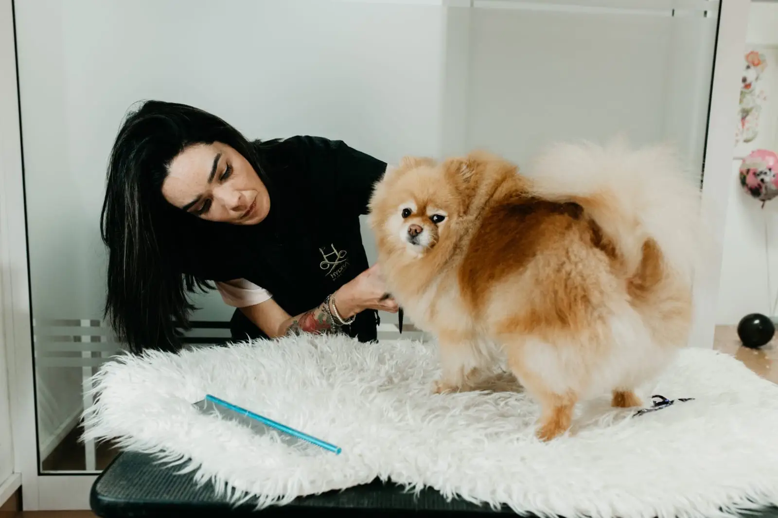 e65c4fac-ca06-4b18-841f-c12959f2daca